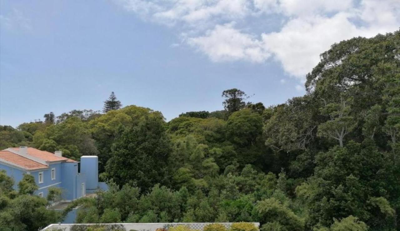 Arquinha Lägenhet Ponta Delgada Exteriör bild